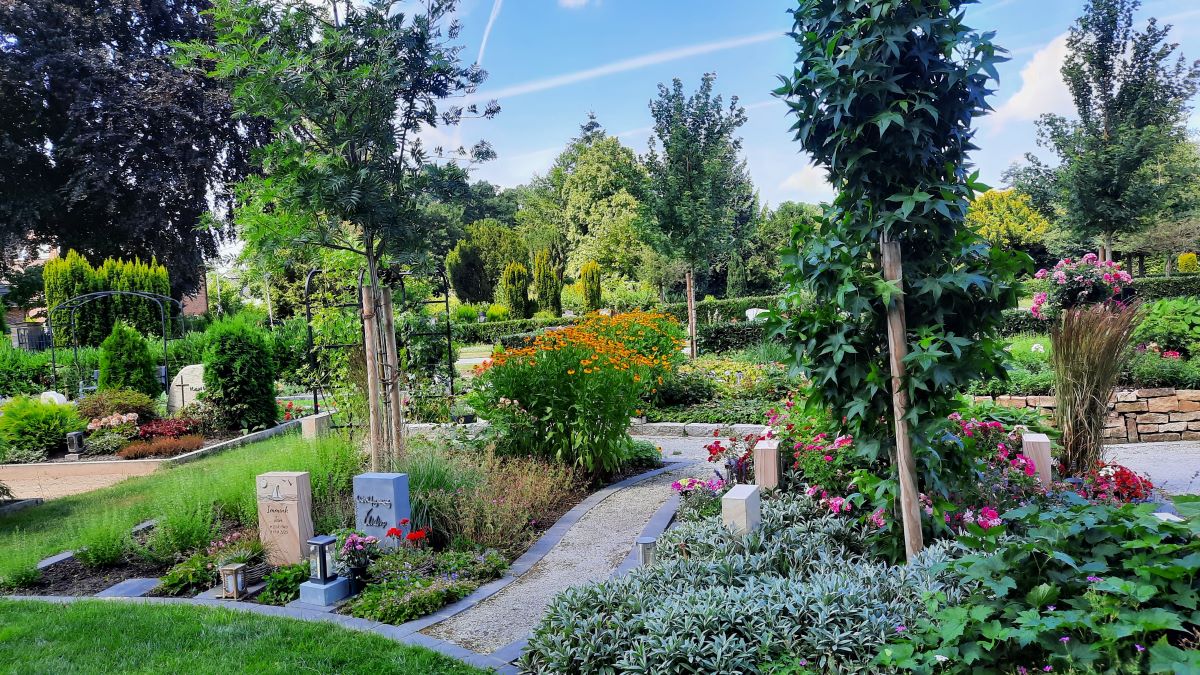 Rosengarten26 4